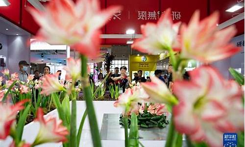 国产欧美一区二区久久(国产欧美一区二区久久久十八禁)